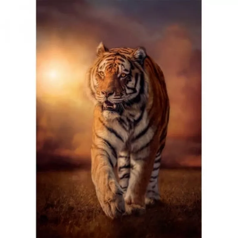 Clementoni Tiger palapeli 1 000 kpl eläimet