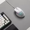 Glorious Gaming Glorious Model IV2 Wired - musta, oikeakätinen, optinen, USB Type-A, 26000 DPI, musta