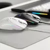 Glorious Gaming Glorious Model I2 Wired – valkoinen, oikeakätinen, optinen, USB Type-A, 26000 DPI, valkoinen