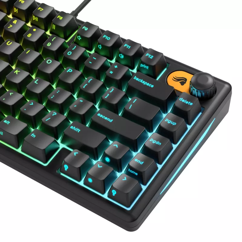 Glorious Gaming GMBK 75% -näppäimistö USB QWERTY US-englanti musta