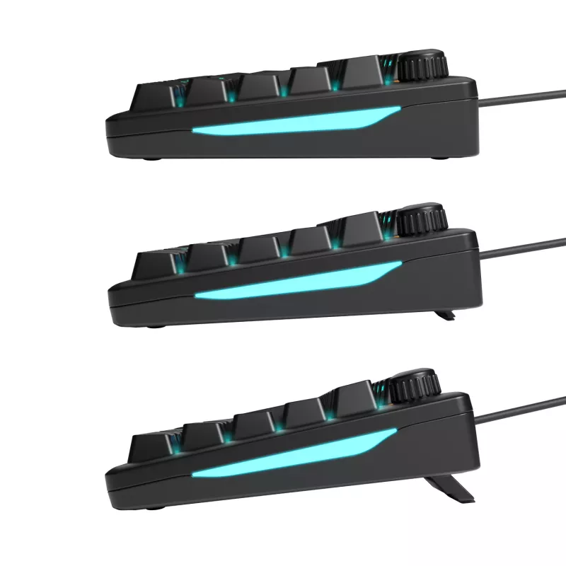 Glorious Gaming GMBK 75% -näppäimistö USB AZERTY ranska musta