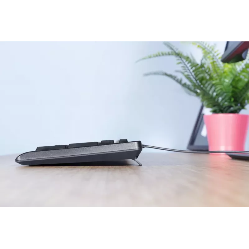Trust Primo näppäimistö hiiri sisältyy yleinen USB AZERTY belgia musta
