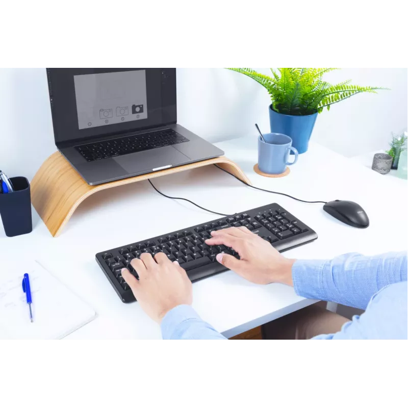 Trust Primo näppäimistö yleinen USB AZERTY belgia musta