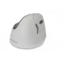 BakkerElkhuizen Evoluent 4 Bluetooth valkoinen, oikeakätinen, pystysuunnittelu, laser, Bluetooth, 2600 DPI, valkoinen