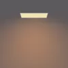 Philips Functional Panel Ceiling kattovalaisin 36 W suorakaide