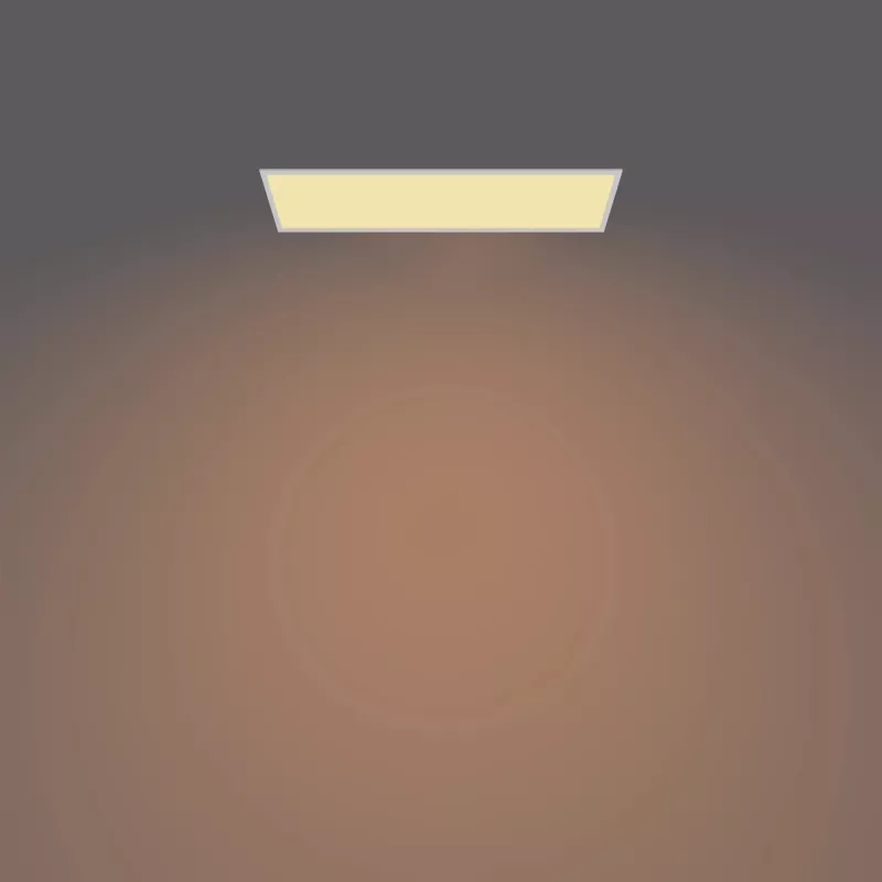 Philips Functional Panel Ceiling kattovalaisin 36 W suorakaide