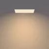 Philips Functional Panel Ceiling kattovalaisin 36 W suorakaide