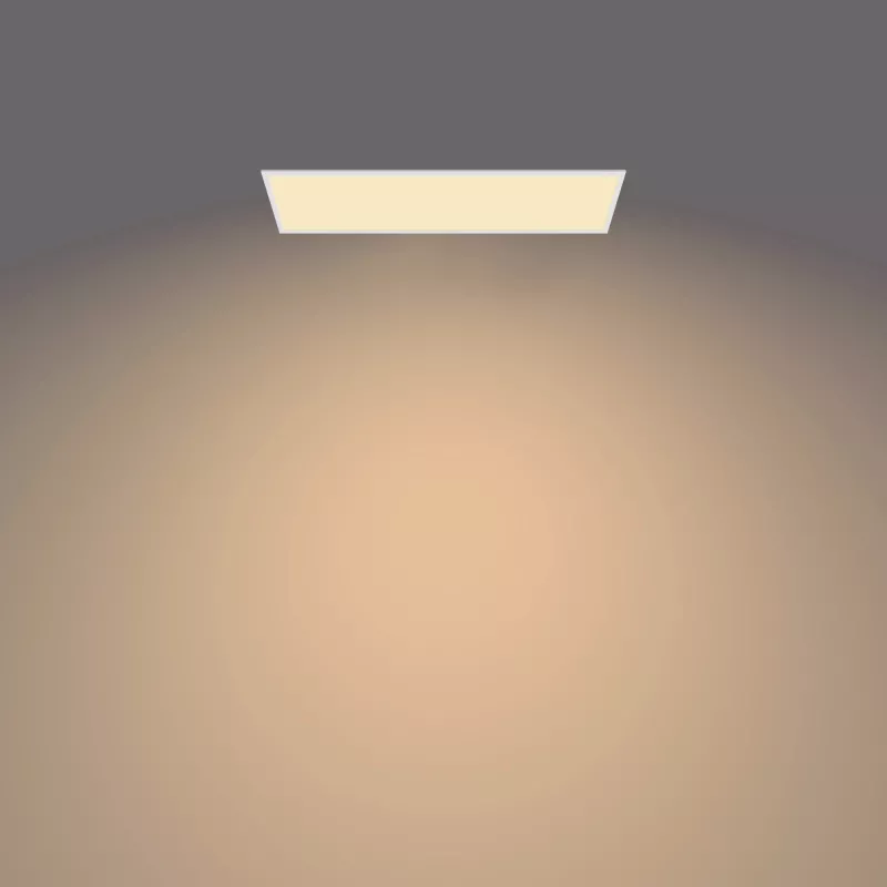 Philips Functional Panel Ceiling kattovalaisin 36 W suorakaide