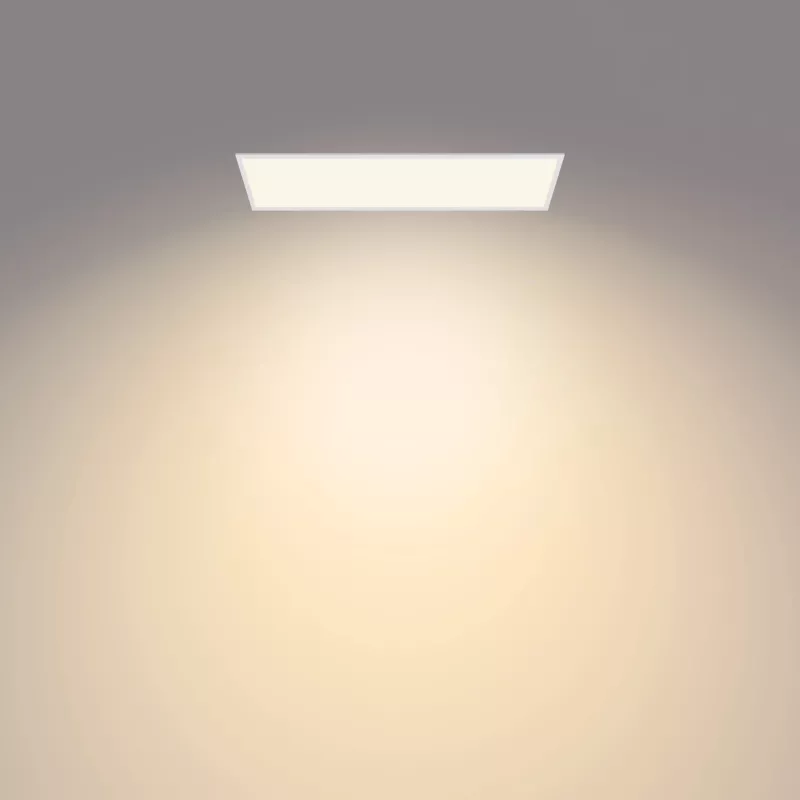 Philips Functional Panel Ceiling kattovalaisin 36 W suorakaide