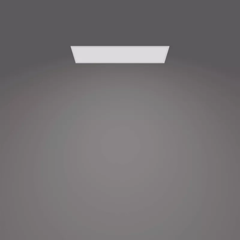 Kattovalaisin Philips Functional Panel 36 W LED suorakaide 300×1200×42 mm, valkoinen