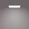 Kattovalaisin Philips Functional Panel 36 W LED suorakaide 300×1200×42 mm, valkoinen