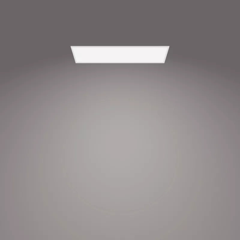 Kattovalaisin Philips Functional Panel 36 W LED suorakaide 300×1200×42 mm, valkoinen