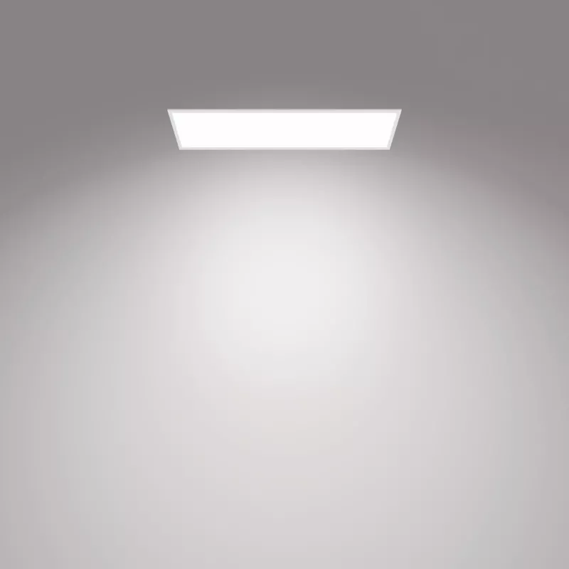 Kattovalaisin Philips Functional Panel 36 W LED suorakaide 300×1200×42 mm, valkoinen