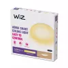 Älykäs kattovalaisin Wiz Adria Ceiling 17 W — Wi‑Fi/Bluetooth, 320×68 mm, valkoinen