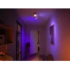 Philips Hue White and colour ambience Centris 2-Spot kattovalaisin