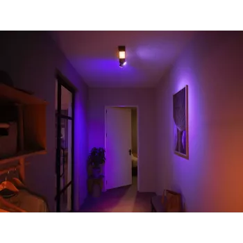 Philips Hue White and colour ambience Centris 2-Spot kattovalaisin