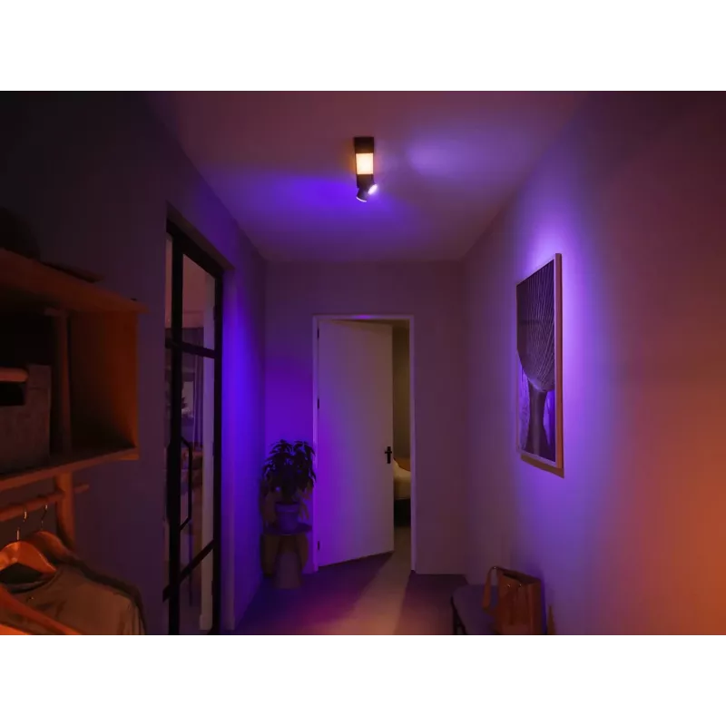 Philips Hue White and colour ambience Centris 2-Spot kattovalaisin