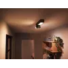 Philips Hue White and colour ambience Centris 2-Spot kattovalaisin