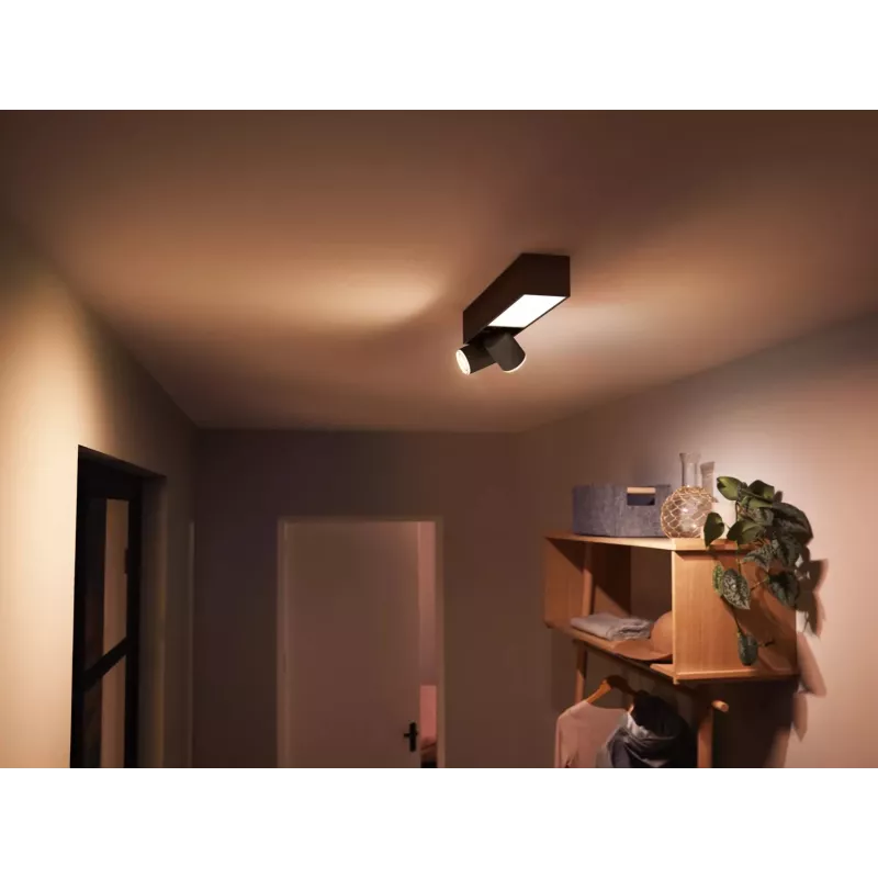 Philips Hue White and colour ambience Centris 2-Spot kattovalaisin