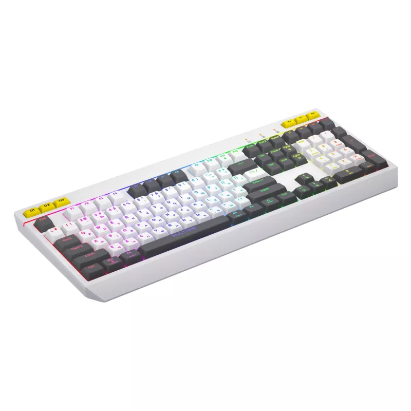 HATOR Icefall näppäimistö pelikäyttöön USB QWERTY US-englanti valkoinen Full-Size RGB LED