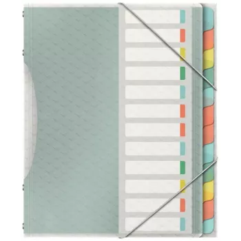 Esselte Colour'Breeze välilehtikansio 12 välilehteä, monivärinen, polypropeeni (PP), 266 mm, 20 mm, 370 g, 1 kpl