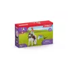 Pelihahmo Schleich HORSE CLUB 42518