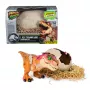 Jurassic World Primal Hatch -interaktiivinen leludinosaurus & muna, kuoriuta & kouluta oma vauvadino yli 100 äänellä & reaktiolla, lastenlelu pojille & tytöille 5-vuotiaasta
