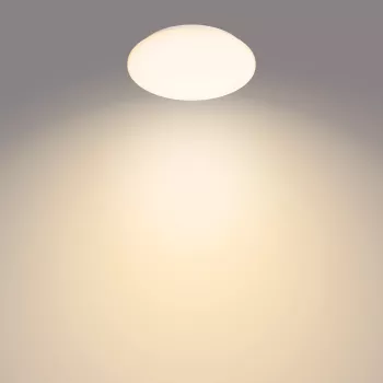 Philips Functional Moire kattovalaisin 10 W, LED, kiinteästi asennettu polttimo, 2700 K, 1 000 lm, IP20, valkoinen