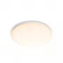 Philips Functional kattovalaisin, LED, ei vaihdettava polttimo, 2700 K, 1 700 lm, IP20, valkoinen