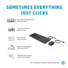 Hiiri HP 150 johdollinen hiiri ja näppäimistö USB