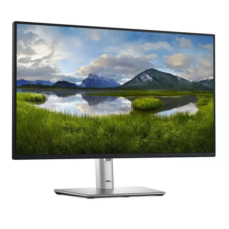DELL Pro Plus P2425H tietokonenäyttö 60,5 cm (23,8