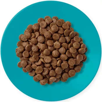 APPLAWS Aikuisten merikala lohi - kuivaruoka kissoille - 1,8 kg