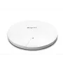 DrayTek Vigor AP1062C WLAN-AX MESH ulko-AP PoE (ilman virtalähdettä) (vAP1062c-DE-AT-CH)