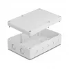 DeLOCK asennuskotelo 180x125x57 mm harmaa ABS ulkokäyttöön