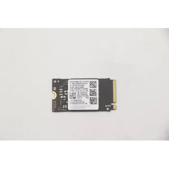 Lenovo 5SS0V42253 sisäinen puolijohdeasema M.2 256 GB PCI Express (5SS0V42253)