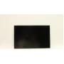 Kannettavan näyttöpaneeli Lenovo 14,0