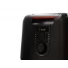 Bluetooth-kaiutin FERGUSON REGENT Power Audio 400BT RGB 60W FM USB AUX DSP musta