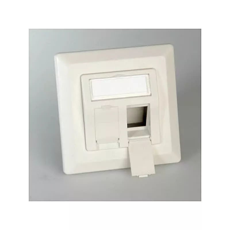 ROLINE moduulipidike keystoneille 2-way