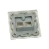 ROLINE moduulipidike keystoneille 2-way