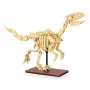 Rakennussarja Jamara CaDA dinosauruksen fossiili Velociraptor — 256 osaa, ikä 8+, beige/ruskea