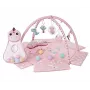 Oppimisleikkimatto Dino Pink TinyMini vaaleanpunainen