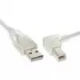 USB 2.0 kaapeli InLine Type-A (kulma) – Type-B uros, 0,3 m, läpinäkyvä