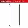 Displex Premium suojalasi karkaistusta lasista (täysi peitto, 10H) Apple iPhone 16e/17e