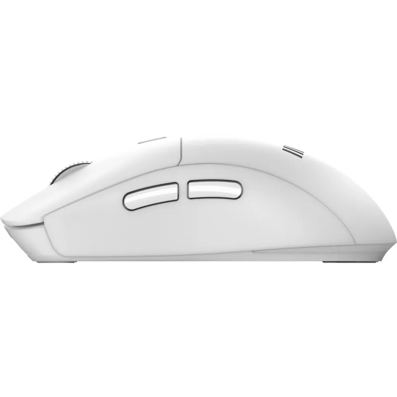 MSI FORGE K210 W COMBO WHITE US näppäimistö hiiri sisältyy Home/Office USB QWERTY US English