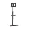 Chief PF1UB näyttöteline / jalusta 190,5 cm (75