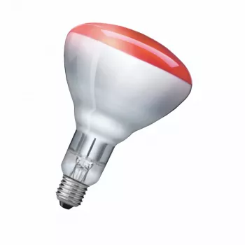 Infrapunalamppu Philips 923212043801 250 W 5000 h 230-250 V
