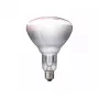 Infrapunalamppu Philips 57522725 150 W 5000 h 230-250 V