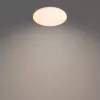 Philips Functional Izso kattovalaisin 40 W, LED, 4300 lm, IP20, valkoinen