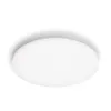 Philips Functional Izso kattovalaisin 40 W, LED, 4300 lm, IP20, valkoinen
