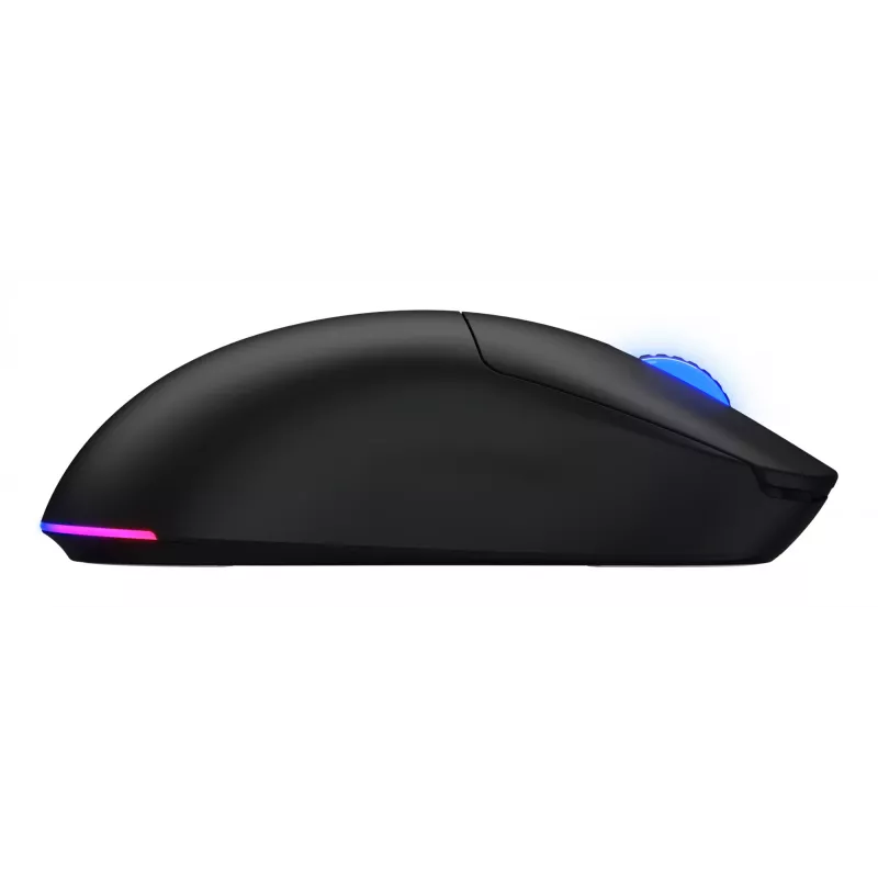 HATOR Quasar 3 Wireless hiiri pelikäyttöön molempikätinen RF Wireless + Bluetooth + USB Type-A optinen 12 000 DPI
